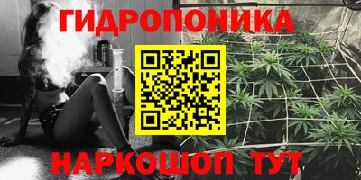 прущие крисы Тверь